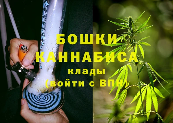 сатива Арсеньев