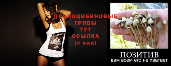 сатива Арсеньев