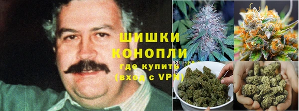 сатива Арсеньев