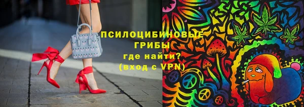сатива Арсеньев
