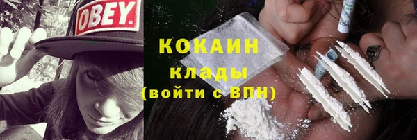 сатива Арсеньев